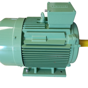MOTOR TRIFASICO ASYNCRONUS 1HM-1 225M2 B3 45KW